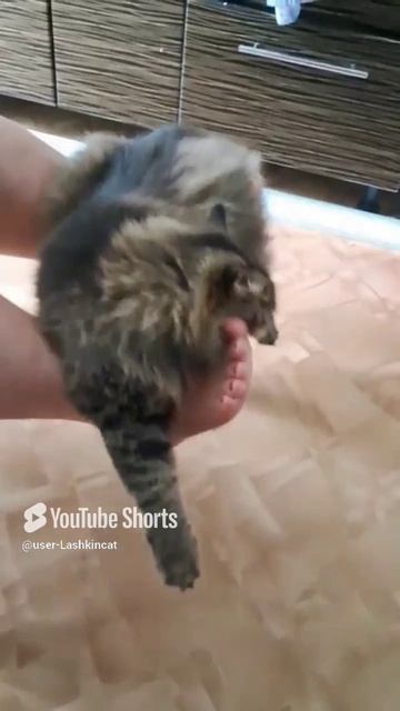 Качели..mp4