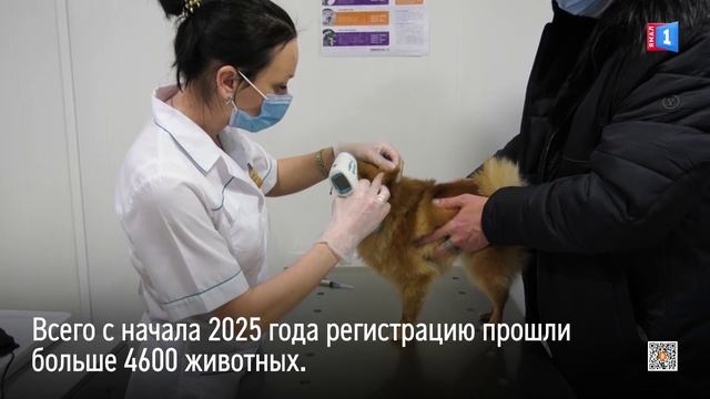 На Ямале зарегистрировали 15-тысячного питомца