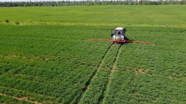 Обработка посевов 13.06.2025