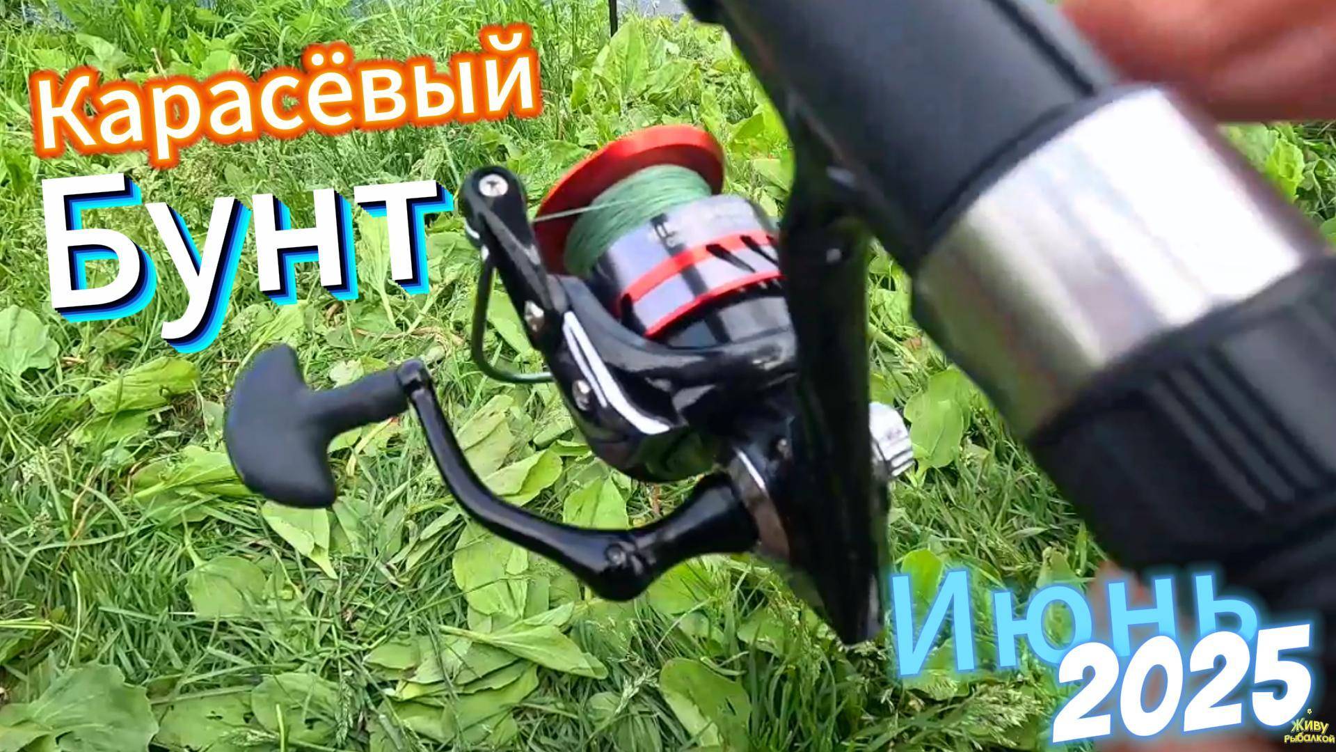 КАРАСЁВЫЙ БУНТ В ИЮНЕ