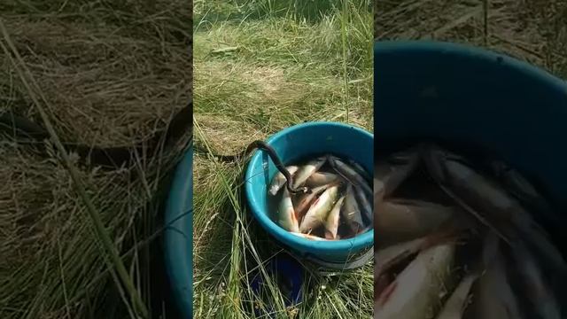 На рыбалке 🎏🐟