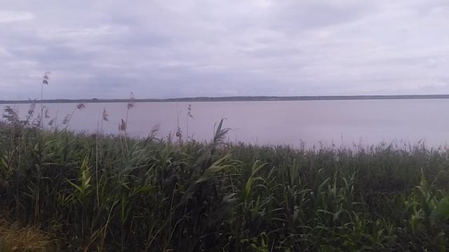 VID_20250616_085708.mp4