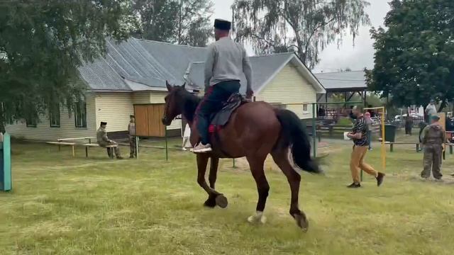 «Шермиции в Верхней Верее»