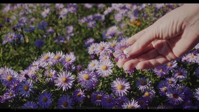 Этот трек поднимает настроение лучше любого кофе - Inside the piano -- Cartouch -- Cartouch