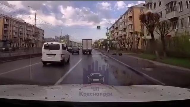 Устроили догонялки