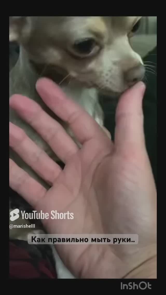 Рукимойпередедой..