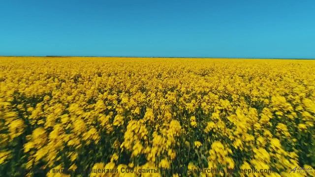 Душа поёт, а тело замирает при таких аккордах - Where the Sun Set -- Independent Music Licensing Col