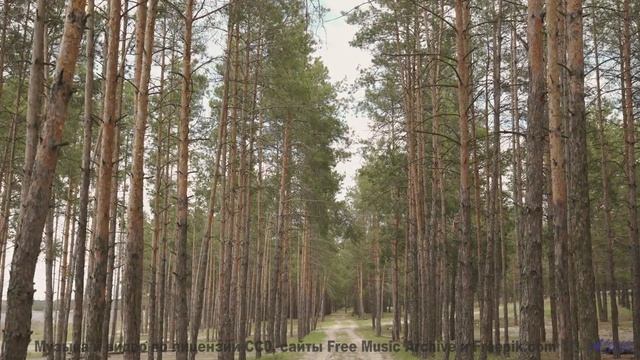 Ты будешь благодарить меня за то, что показал тебе это! - VHS -- HoliznaPATREON -- Lofi Forever