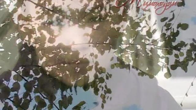 "МИМОХОДОМ", 16 июня 2009 год. Автор проекта О. Дзиов
