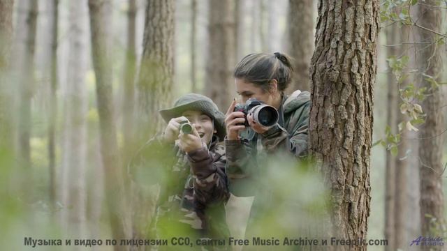 Звуки, используемые для межгалактической связи - пришельцы одобряют! - I Could Write -- Ayla Nereo -