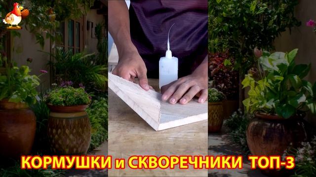 Кормушки и скворечники своими руками для птиц ТОП-3 (68) 🪚🪛🔨 Идеи для дачи и сада пошагово ❣️