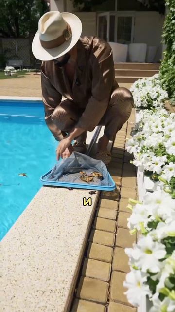 КАКИЕ МОЩНЫЕ ПАРНИ