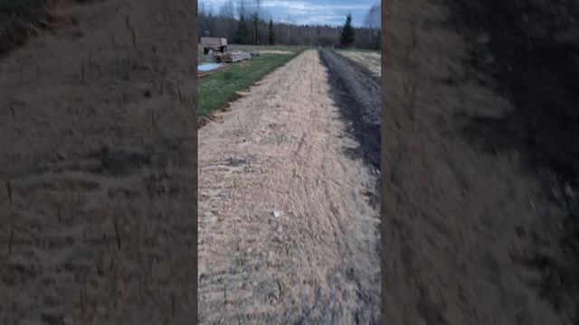 Выращивание чеснока/
Внесение подкормки