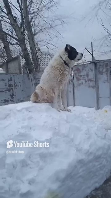 1000003151.mp4