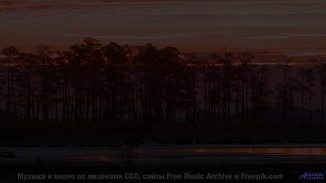 Лес под таким звуком кажется бесконечным и живым - Cruel And Devious -- Quint Baker -- Psychic Catz