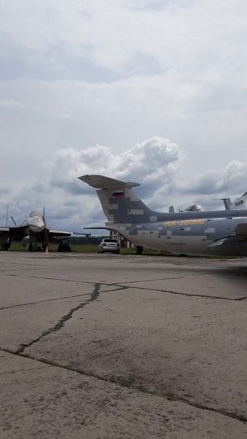 Самолёт Л29 Дельфин Аэродром Орешково