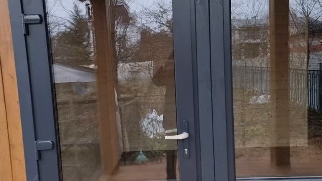 Обзор двухмодульного гостевого дома во Внуково