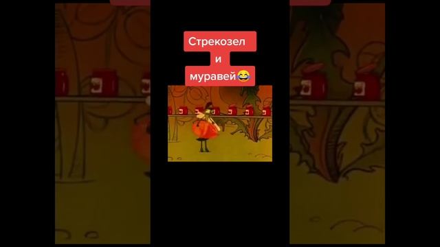 1000031597.mp4