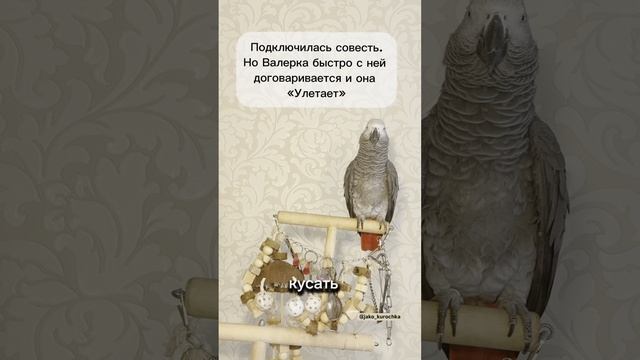 Пойдем купаться🦜💦