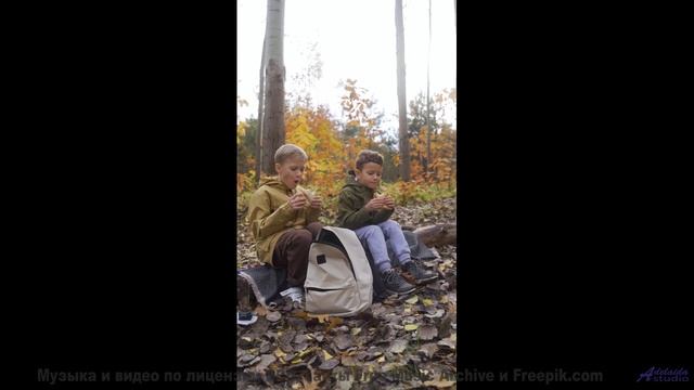 Звуки, управляющие погодой - секретные технологии! - Лена Батаева -- POVALISHIN DIVISION -- Запрещат