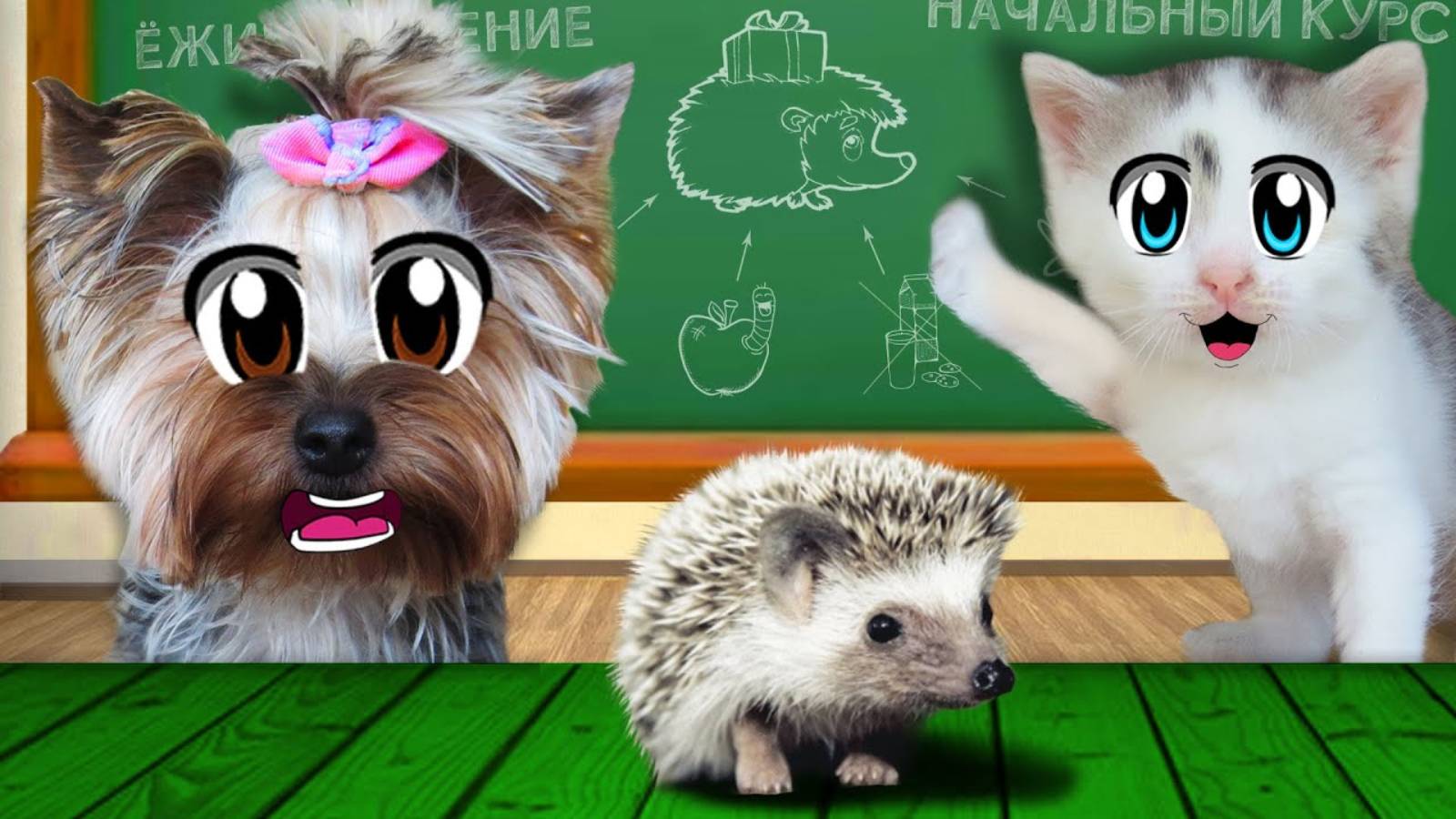 24 Часа с ПУПСЕЙ на УЛИЦЕ Челлендж! А ну-ка Давай-ка ПРОНИКЛИ за ЗАБОР к СОСЕДУ