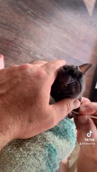 23 сентября 2023 г.