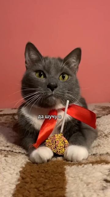 КОНФЕТЬКА