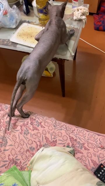 11 октября 2023 г.