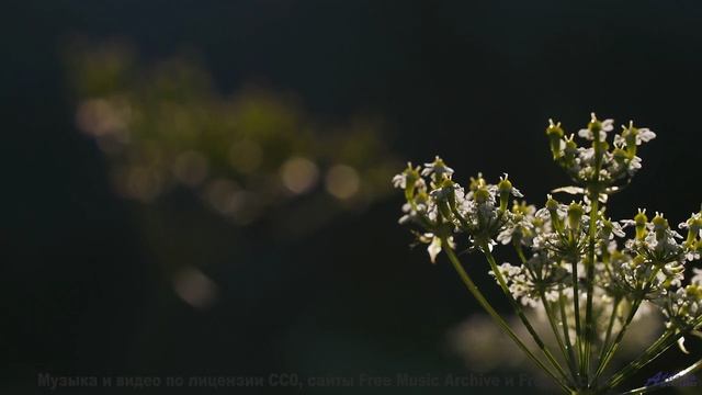 Ты будешь благодарить меня за то, что показал тебе это! - True Love -- Derek Clegg -- The Best Of Nu