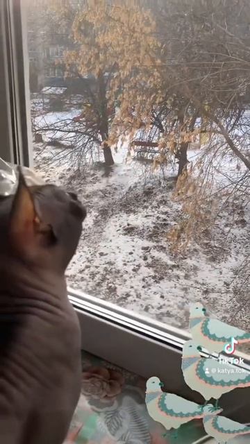 28 июля 2023 г.