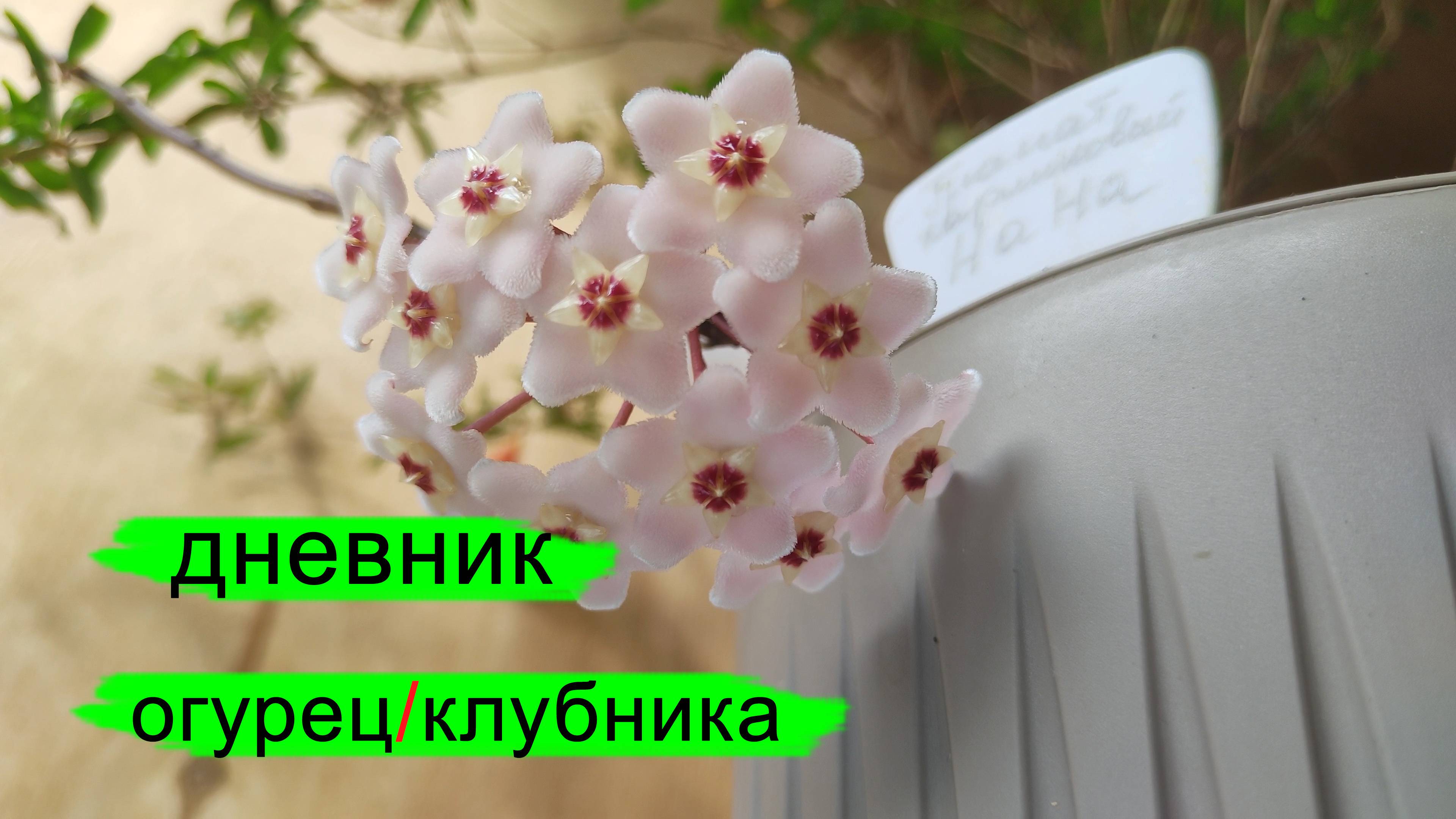 Дневник. 15.06.2025