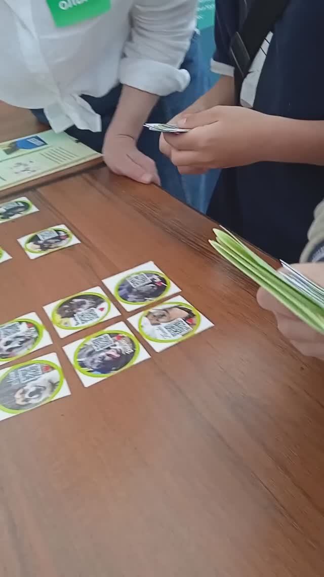Пиар собак МП на Экофесте