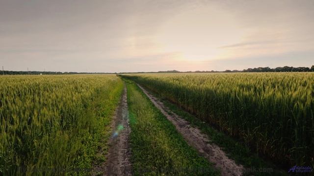 Песня, от которой по коже бегут мурашки страсти... - Years -- Kirk Osamayo -- Season Two (GREEN)