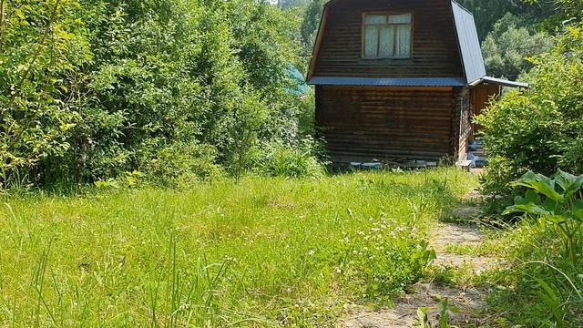 В дверь пораньше, на заре...