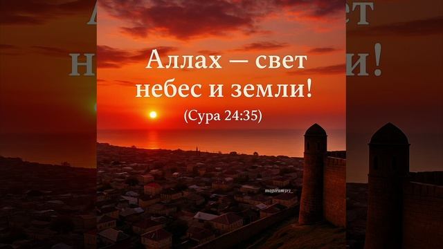 VID_20250617_180252_533.mp4.mov