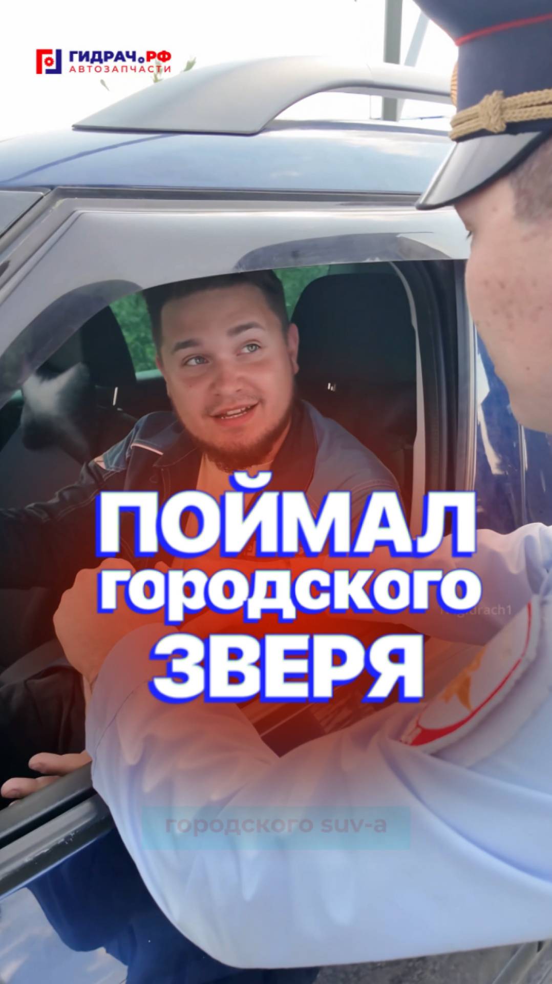 ПОЙМАЛ городского ЗВЕРЯ 🐻❄️