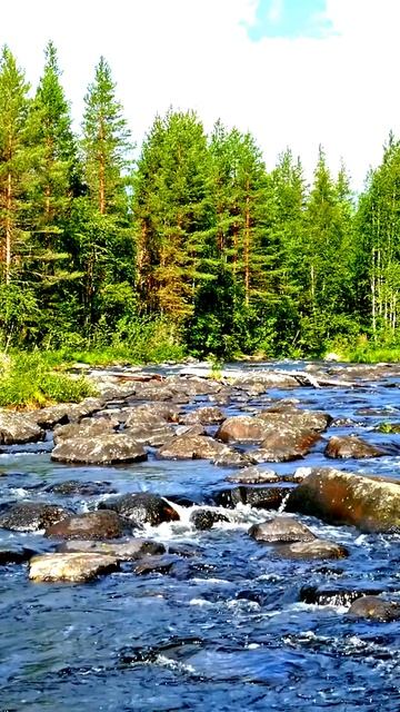 Камера поймала лучший момент