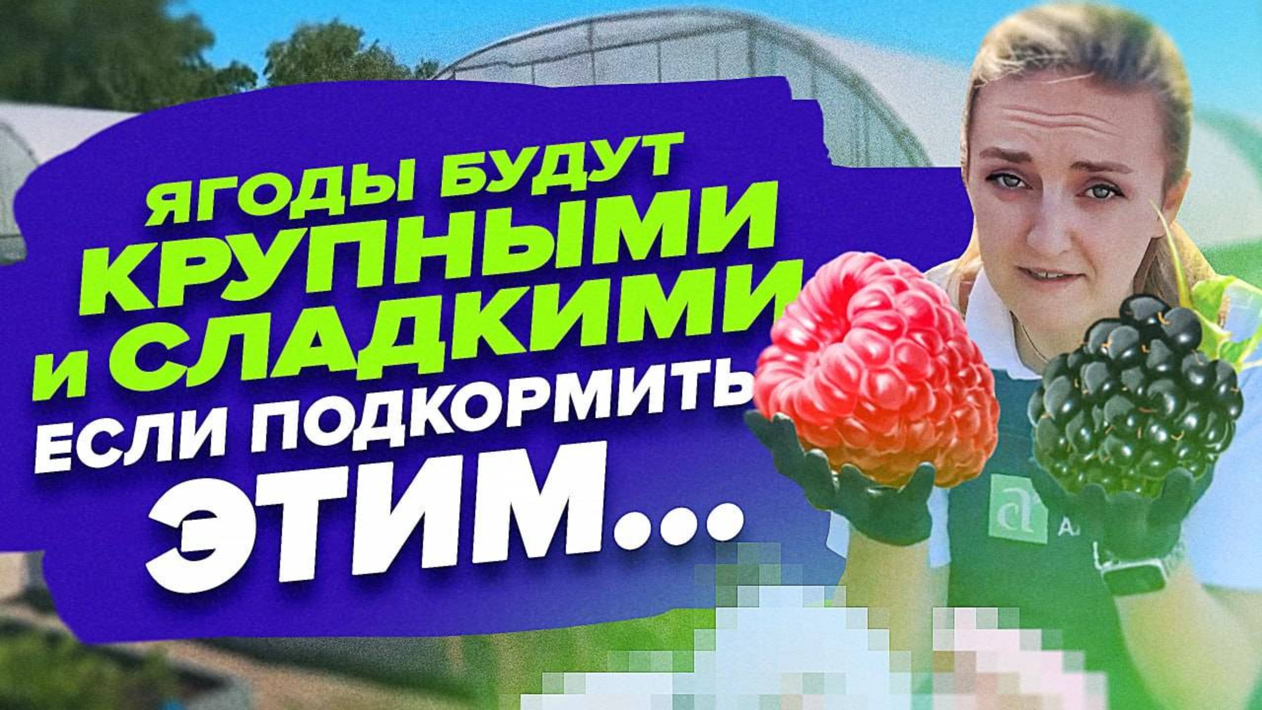 ЭТИ ПОДКОРМКИ УВЕЛИЧАТ ЯГОДЫ В 2 РАЗА! Чем кормить клубнику при наливе плодов