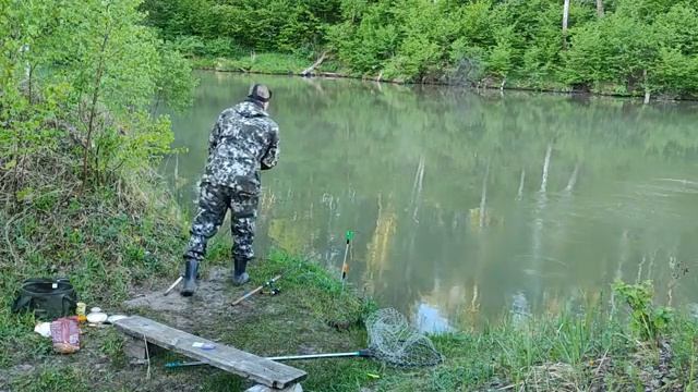 Ловля Белого Амура на корку хлеба.