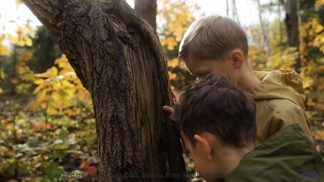 Мелодия, которую слышно только в полночь. - Be Here Now -- Ranch House -- The Ranch House LP