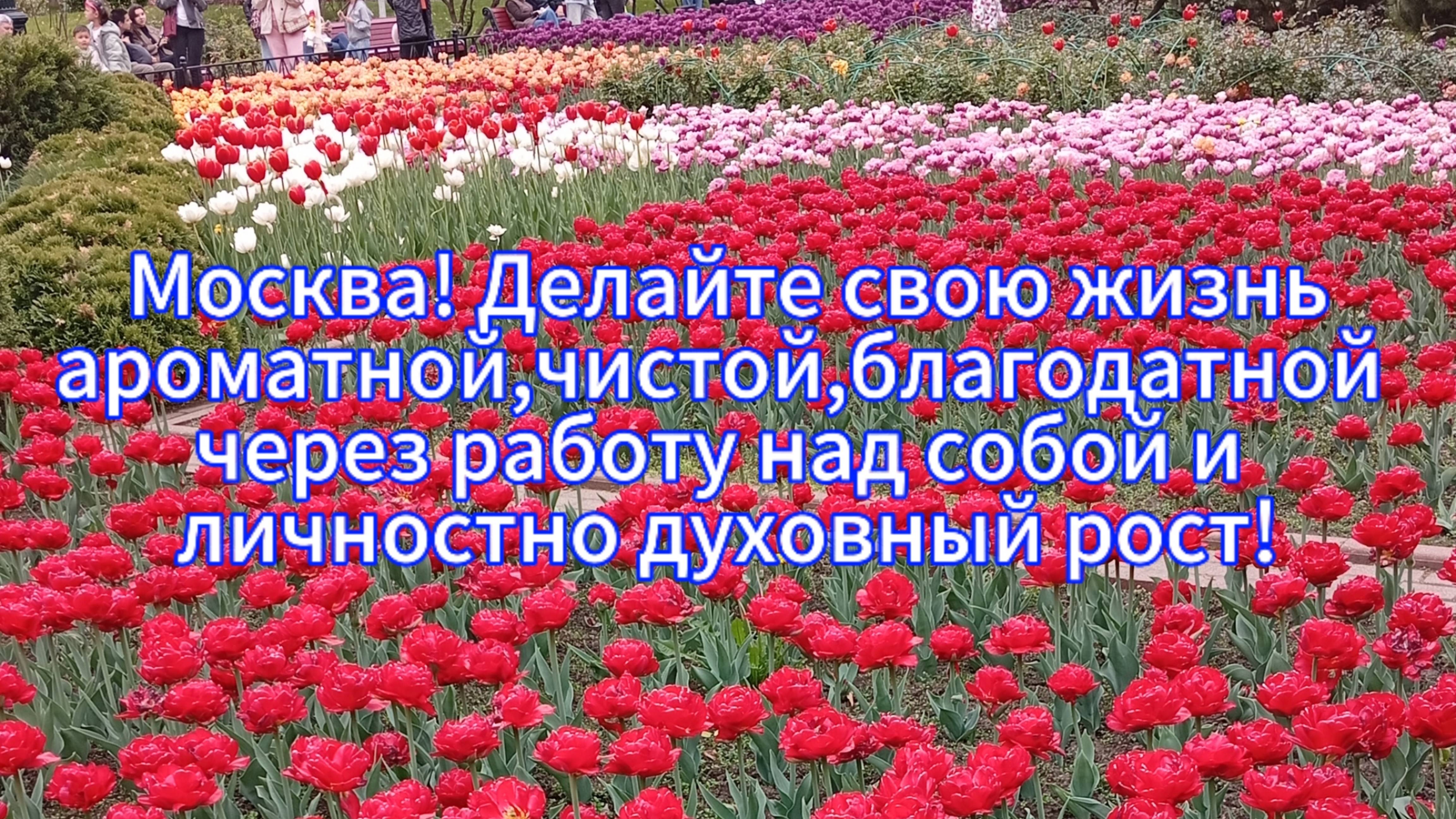 Москва! Делайте свою жизнь
ароматной,чистой,благодатной 
через работу над собой!