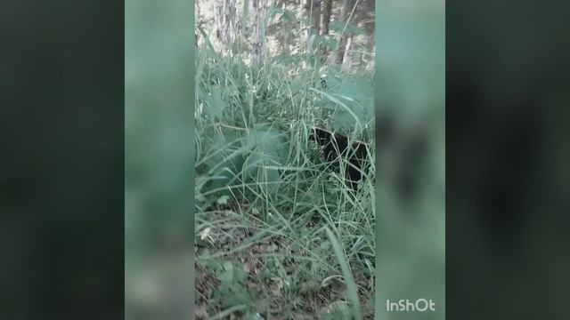 1000005637.mp4