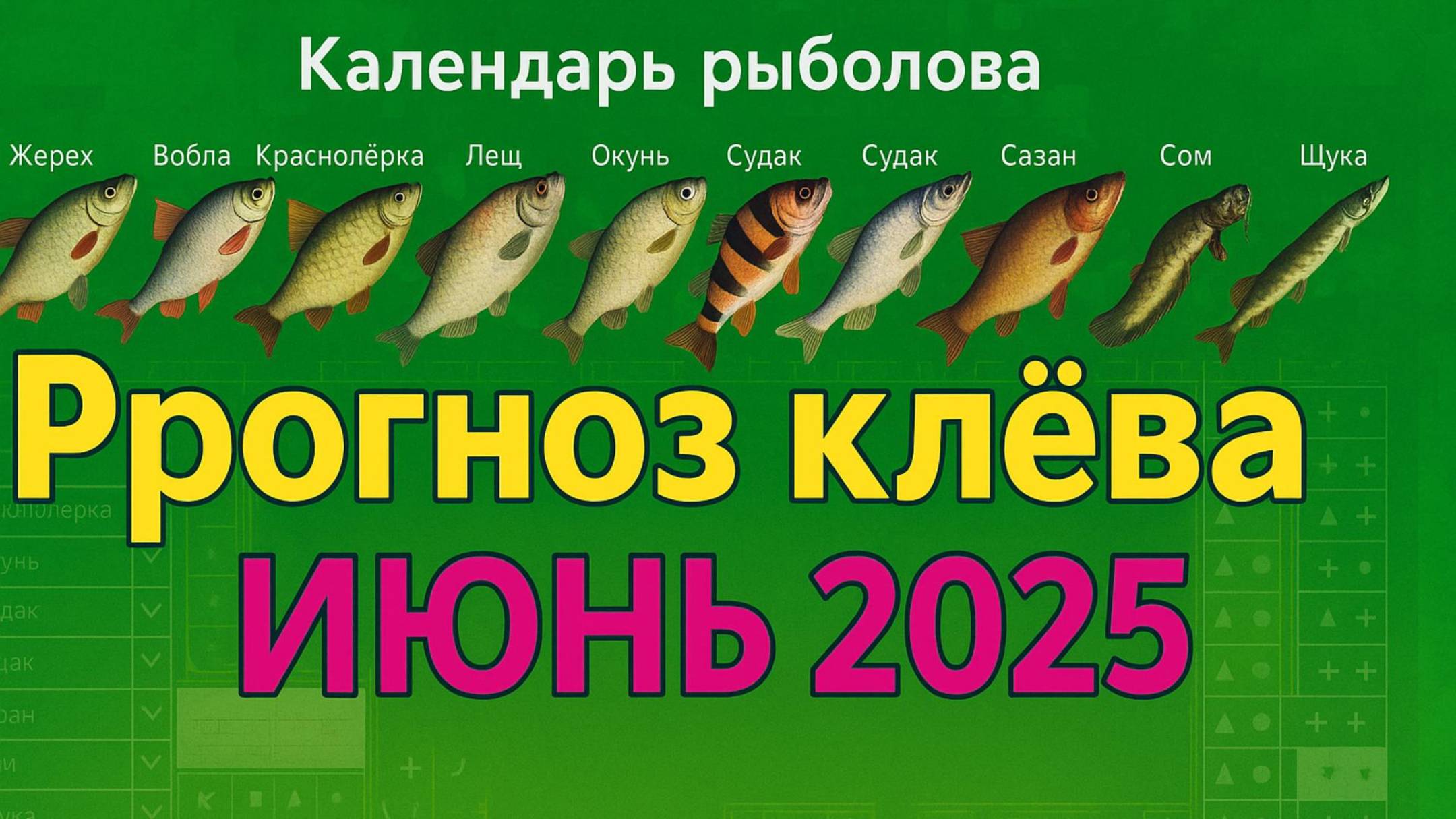 Когда лучше клюет рыба на этой неделе с 17 июня по 30 Июня 2025
