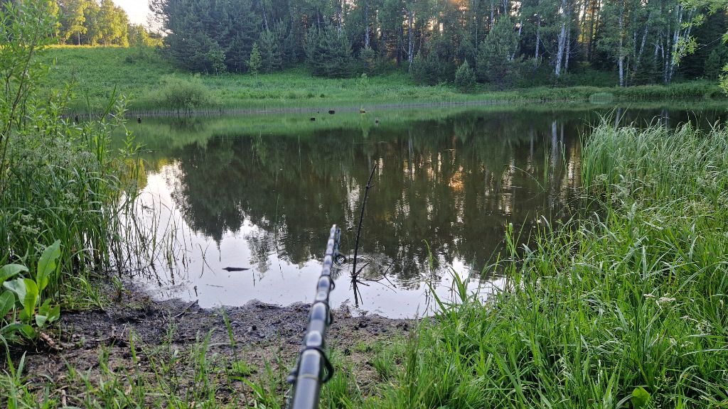 Пробная ловля