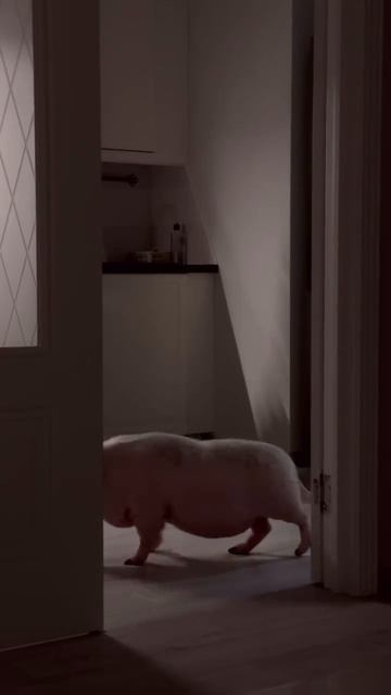 Ночное, можно не смотреть...