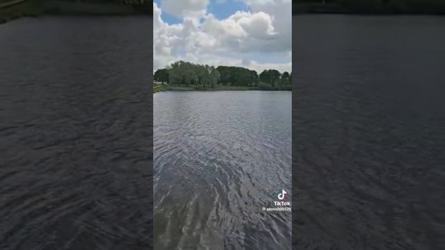 Кто что подумал за спиной