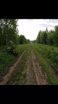 " Лето в жилах "