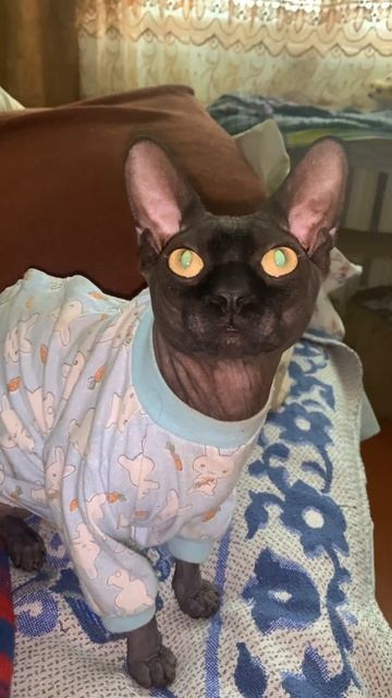 3 декабря 2023 г.