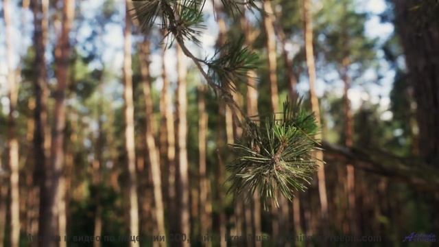 Природа, увиденная через квантовую пену пространства-времени - технологии раскрывают фундамент реаль