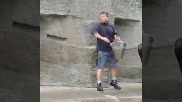 ПРИКОЛЫ С ЖИВОТНЫМИ И ЛЮДЬМИ
